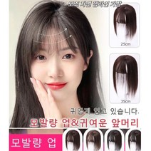 여성 시물레이션 가발 단발가발 여자 부분가발 인모 정수리 앞머리 일체형 가발 내추럴 터치머리 풍성한 정수리 가발 연갈색/갈색/자연 블랙(25cm-35cm), 갈색(25cm)
