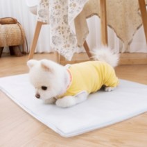사계절연구소 친환경 냉수 강아지 고양이 애견 쿨매트 쿨방석 여름 매트 대형 중형 여름용, 3.강아지 쿨매트 1+1, 화이트그레이