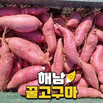 해남 세척 베니하루카 꿀고구마 3kg 5kg 10kg, 4. 꿀고구마 3kg 대(300g이상)