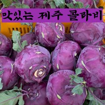 (최상품 특가) 구씨아줌마 아삭달달 햇 제주 콜라비 특품 3kg 5kg 10kg, 콜라비 10kg, 1개