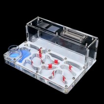 새로운 diy 아크릴 개미 둥지 대형 평면 개미 농장 먹이 영역이있는 작업장 성 15207.5cm 애완 동물 개미집을위한 큰 개미 집, 푸른, 20x15x7.5cm, 협동사