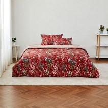 모던하우스 케이트 면모달 퀸 고밀도극세사 차렵이불