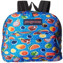 다사줌 JanSport Big Student (얀스포트 대학생)
