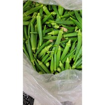 오크라 1kg 아이스박스포장, 1개