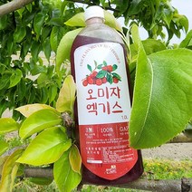 오미자 엑기스 1.8L 오미자 농축액 경북문경 국산 100% 발효1년이상 천연오미자, 오미자 엑기스1.8L/2병