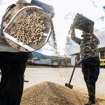 땅콩수확기 소형 수동탈곡기 밭갈이 곡물선별 삽, 메쉬(0.6cm), 1개