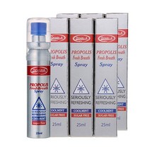 오리진에이 프로폴리스 스프레이 25ml x 6개