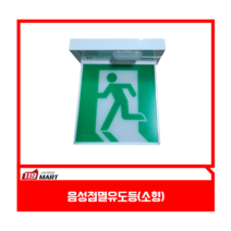 음성점멸유도등 / 소형 / 대우방재 / 음성유도등 / LED유도등 / 피난구유도등, 벽부소형