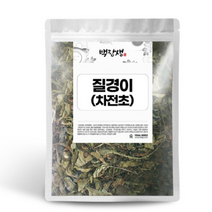 백장생 질경이, 300g, 2개