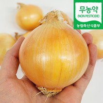 (자연마을) 창녕 무농약 양파 2kg 3kg 국내산 양파, 창녕 무농약 양파 3kg