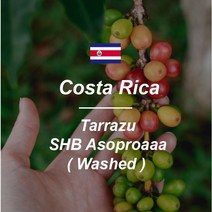 [커피생두] 코스타리카 SHB 따라주 프리미엄 라 파스토라 1kg, 1개