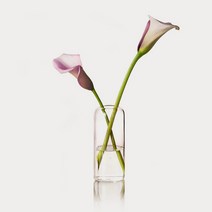 27리빙 인테리어 심플 도자기 유리 화병, 8.롱 베이직