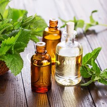 새로핸즈 천연 에센스 대용량 아로마오일 100ml 29종택1 라벤더/티트리/파인/로즈마리/시트로넬라, 20. 프랑킨센스 100ml