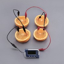 과일전지 만들기(디지털시계)5인세트