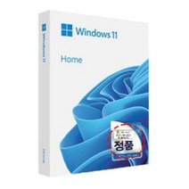 마이크로소프트 Windows 11 pro dsp