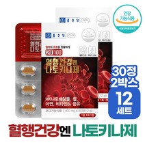 혈행건강 나토키나제 낫토 혈액흐름 원할 혈소판 응집 억제 도움 종근당 건강기능식품, (30정 2박스) x 12세트