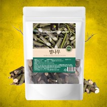 국내산 벌나무 500g