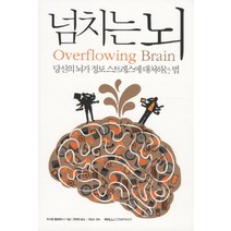 넘치는 뇌:당신의 뇌가 정보 스트레스에 대처하는 법, 윌컴퍼니(윌스타일), 토르켈 클링베르그 저/한태영 역/정갑수 감수