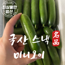 국내산 스낵오이 미니오이 피클오이 다이어트 오이 2kg, 스낵 미니오이 2kg
