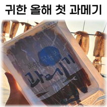 포항 구룡포 햇 과메기 20쪽 귀한 올해 첫 과메기 꽁치과메기, 꽁치