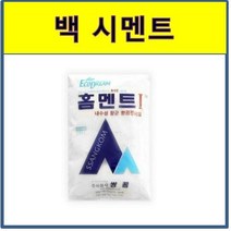 쌍곰 홈멘트 백시멘트 2kg, 1개