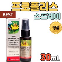 고급 비프로폴리스 스프레이 맥스 BEE PROPOLIS SPRAY MAX 뉴질랜드 냄새 제거 입안 구강 항균 작용 항산화 건강 증진 향상 증가 도움 유지 청정자연 타입 타입형