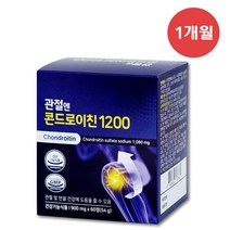 주영엔에스㈜ 관절엔 콘드로이친 1200, 60캡슐 1박스, 1개, 60정