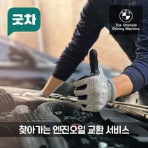 굿차 출장 엔진오일 교환 BMW 5시리즈 - 520d/520i/523d/523i/525d/528i/530d/530e/530i/535d/535i/540i/550i/M5/M550d, M5 F90(18-21년)