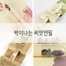 [KT알파쇼핑]흥미유발 싹이나는 씨앗연필, 해바라기_W28F173