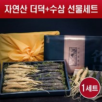 자연산 더덕 수삼 선물세트 국내산 인삼 생삼 야생 산더덕 생더덕 산지직송 사포닌 진세노사이드 꿀절임 차 주스 담금주 구이 요리용 명절 설 추석 선물용, 1세트