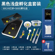 브라인쉬림프 접시식 부화기 부화통 자연식부화, 부화도구+대홍새우알 50g+소금 1kg