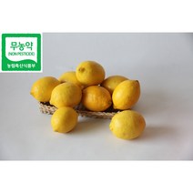 [레몬올레농장] 제주친환경 레몬 생과, 9kg