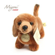 오로라 미요니 닥스훈트 인형 21cm 강아지 동물 애착