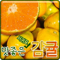 서귀포농원 23년 첫수확 고당도 비가림 하우스 감귤 5kg 10kg, 1개, 고당도 비가림 감귤 7.5kg혼합과(2S~2L)
