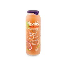 노아주스 오렌지 구아바 포포열매 260ml x 12병