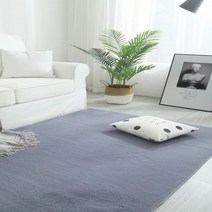 거실카페트 모던 러그 하우스 아이방 사각 대형 carpet