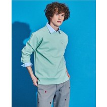 [22SS 헤지스 남성]민트 퍼피자수 베이직 맨투맨-HZTS2A102L2