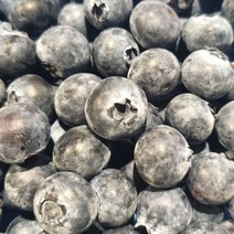 세계 10대 슈퍼푸드 생 블루베리 특대과, 블루베리 250g, 1개