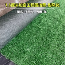 인조잔디 베란다인조잔디 잔디 정원 야외 매트 인조잔디 옥상 잔디매트 인공 카페트 조경 베란다, G.1.5cm/2.5x20m