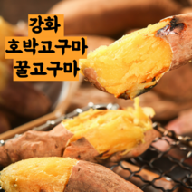 2022 강화도 햇 꿀 호박 강화 속노랑 밤 고구마 고구미 sweet potato 3kg 5kg 10kg 고구머 고구무, 호박(속노랑)고구마