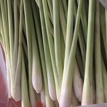 [J&J] Fresh 레몬그라스, 5kg, 1box