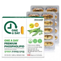 Naturalize 원어데이 프리미엄인지질90캡슐 100%식물성대두레시틴 포스파티딜콜린 NON-GMO 인지질66.7%, 1개, 90캡슐