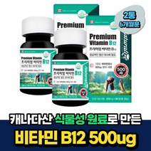 식물성 임신초기 산모 비타민B12 엽산대사 식약처인증 6개월분 임산부 수유부 산후조리 VITAMIN 초소형 20대 30대 40대 여성 임신전 임신준비