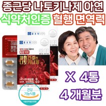 혈행 원활 건강 산소 운반 면역 면역력 기능 개선 제 영양제 건강 기능 식품