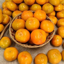맛좋은 밀양의자랑 햇 부유단감 실속(5kg 27-28과), 상세페이지 참조