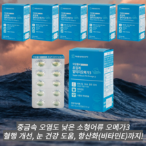 대웅 생명과학 초임계 알티지 오메가 3 비타민 E 60캡슐 6개