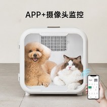 소형견헤어드라이룸 드라이기 개 고양이 털 말리는 기계 반려견 송풍기, Jupet 건조 상자 (프로 버전)