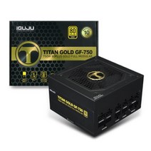 아이구주 TITAN GOLD 80PLUS Full Modular 파워 ATX 750W GF-750, 1개