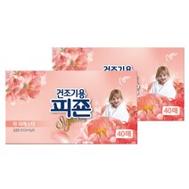 국내유통 피죤 리치퍼퓸 시그니처 건조기용 시트형 섬유유연제 라 피에스타 본품, 40매 × 2개