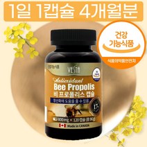 식약처 식약청 인증 프리미엄 정품 함량 포르폴리스 PX 프로폴리스 폴리폴리스 경질 캅셀 캡슐 환 대용량 플라보노이드 추출물 플라노보이드 Bee Propolis 태블릿 40대 실버
